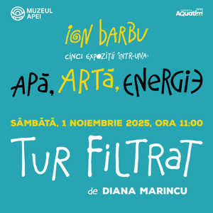 TUR GHIDAT expoziție Ion Barbu: APĂ, ARTĂ, ENERGIE 